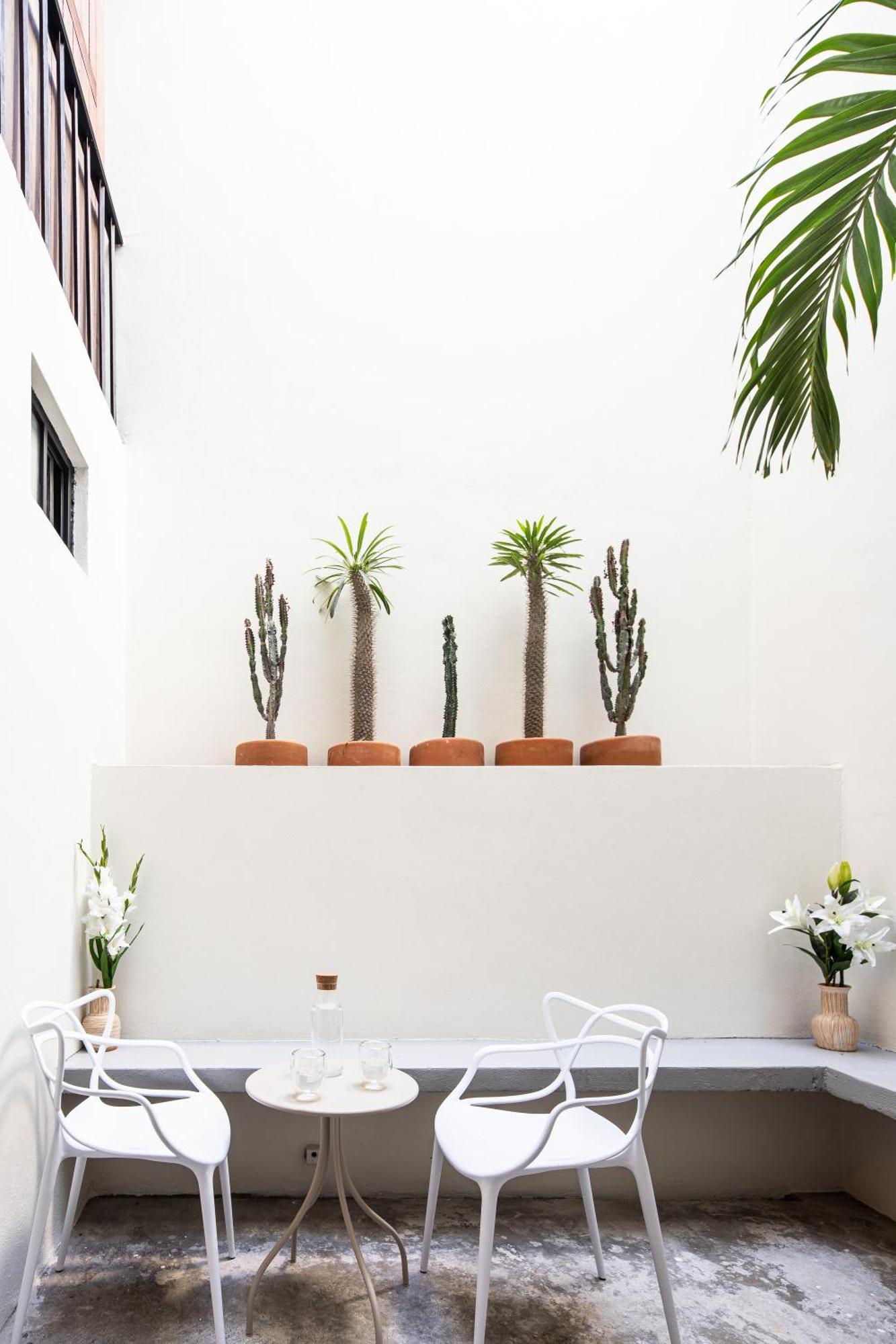 Casa Lumos - Minimalist Comfort Suites In Centro Historico Oaxaca Экстерьер фото